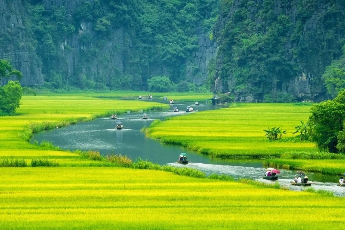 8-Day Journey Through Vietnam’s Most Memorable Experiences