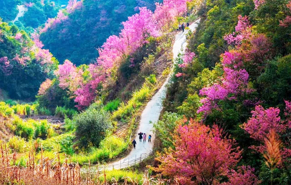 Discovering the True Spirit of Vietnam Across 14 Remarkable Days